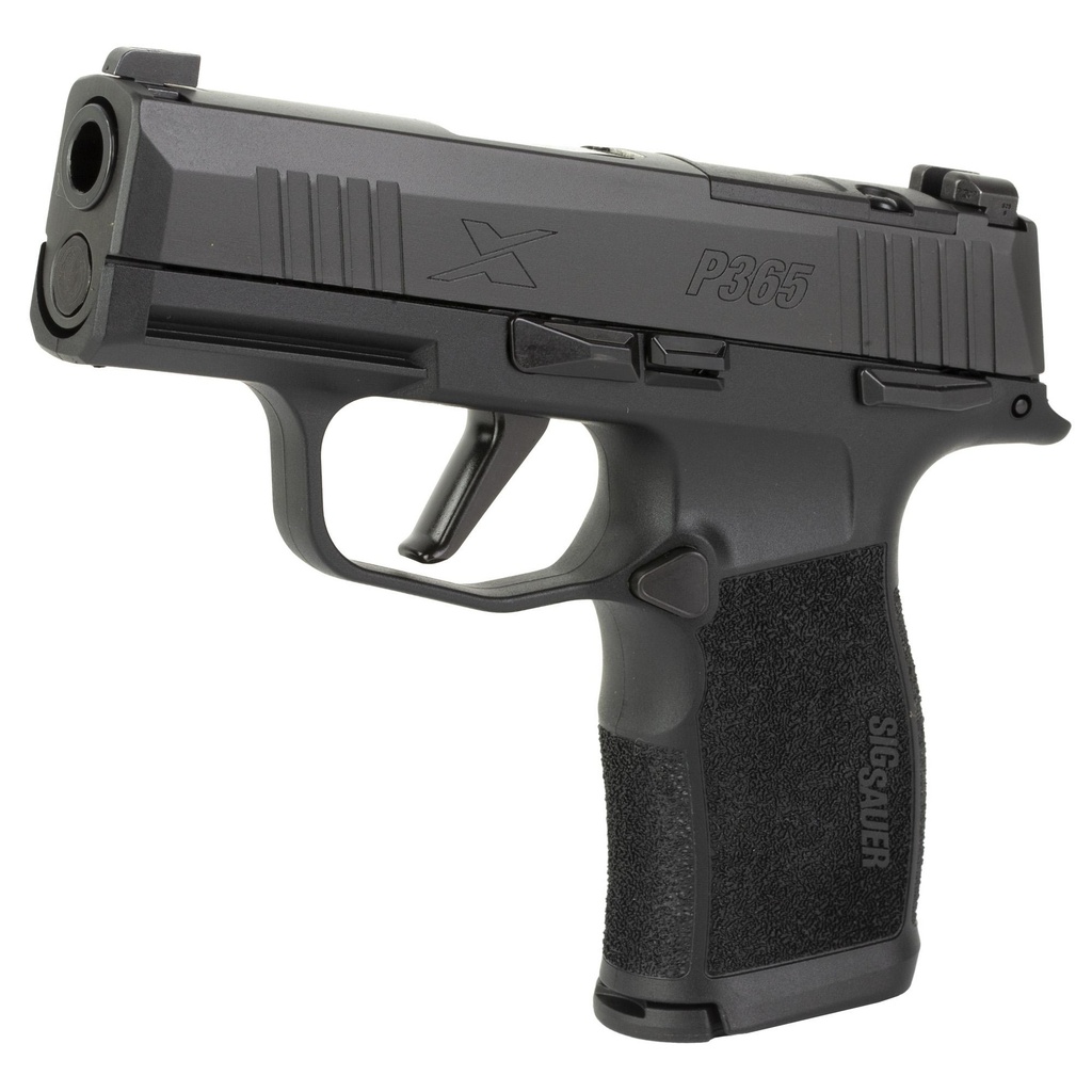 SG365X-9-BXR3P-MS-10_2