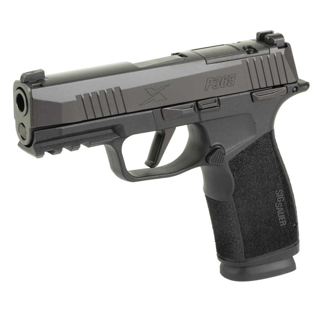 SG365XCA-9-BXR3-MS-10_2