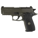 Sig Sauer P229 Legion 9mm, 3.9" Barrel  10Rds 3Mags Gray
