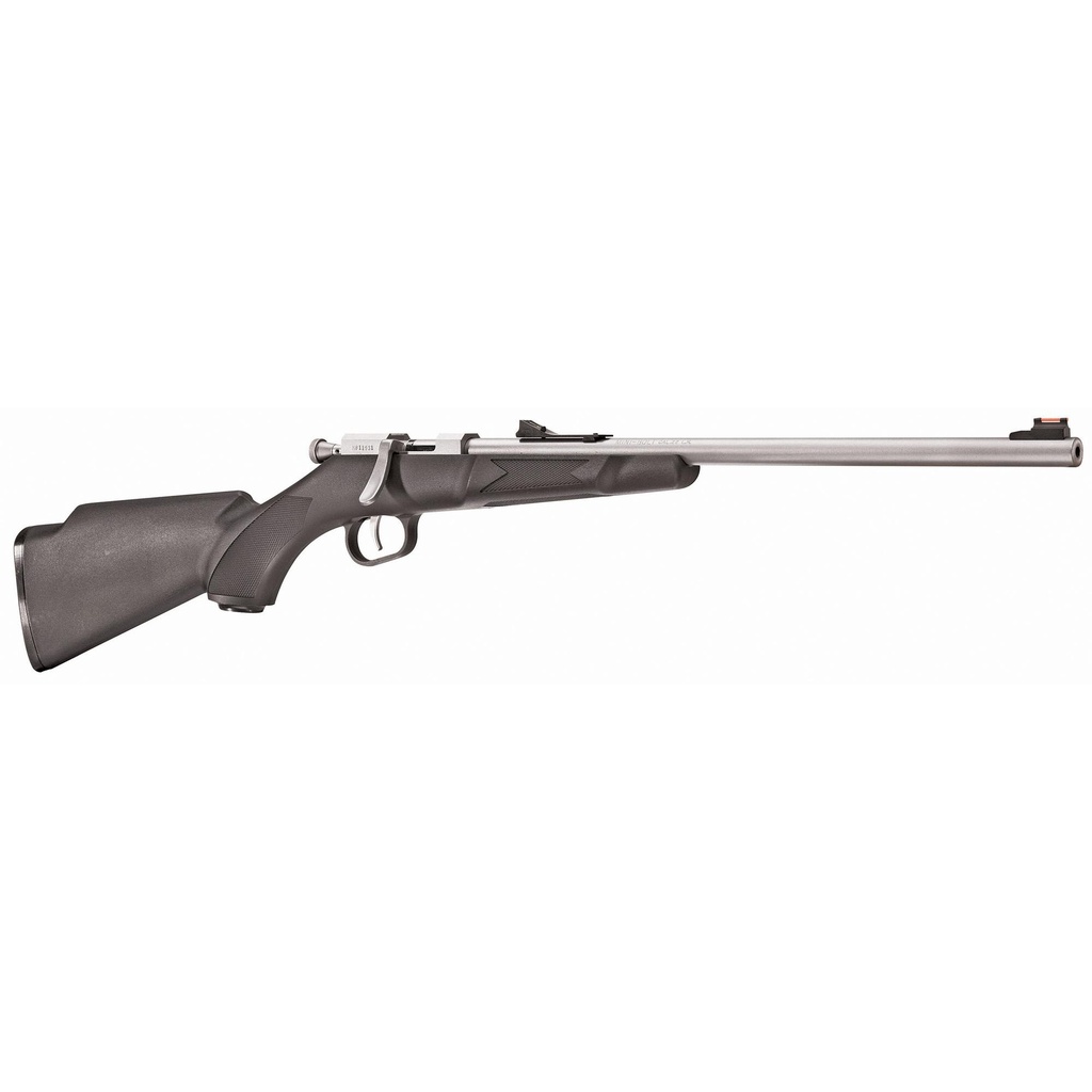 Henry Repeating Arms 22LR 16.25" Stainless Barrel Single Shot Silver