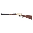 Henry Repeating Arms Side Gate Lever Action Rifle 360 Buckhammer 20" Round Barrel 5Rds Brass