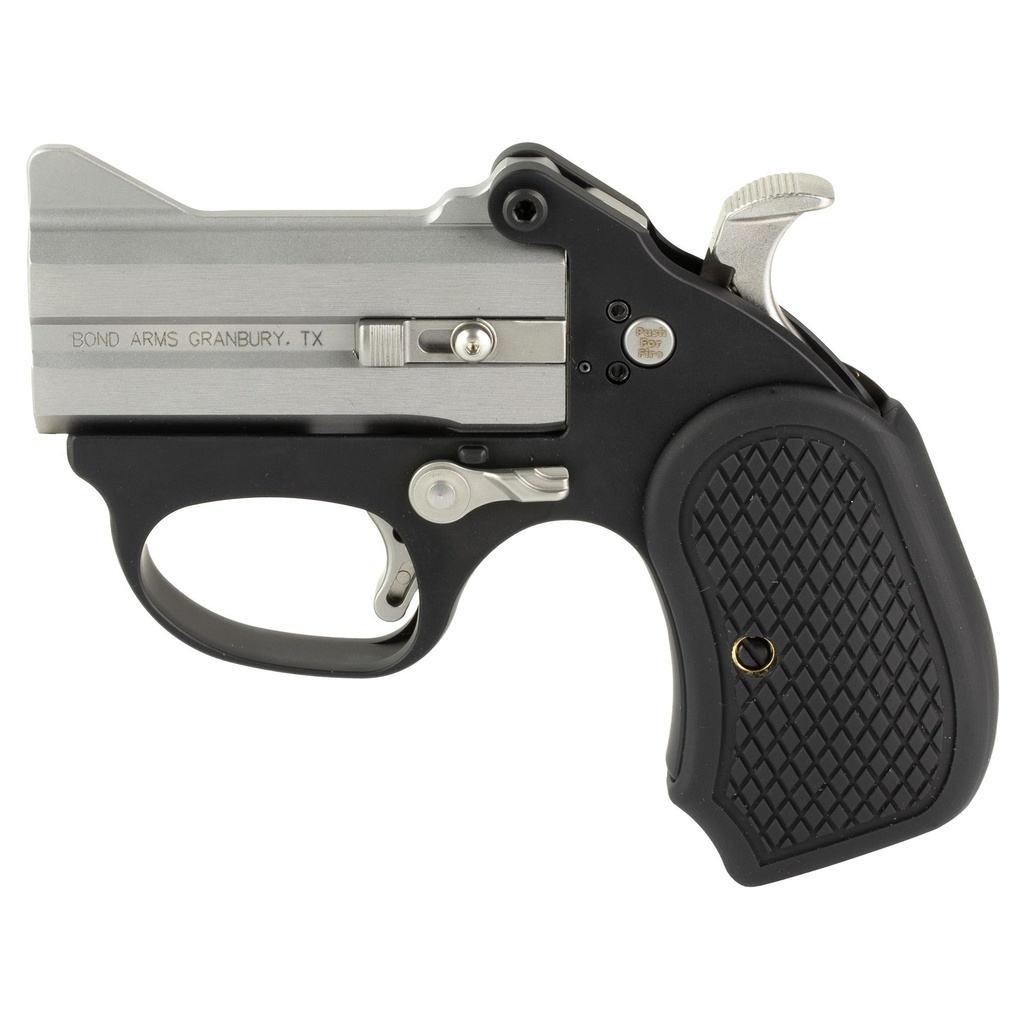 Bond Arms Stinger Derringer 22WMR 3" Barrel 2Rds Silver