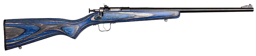Crickett Youth 22 LR 16.12" Blued Barrel 1Rd Blue 