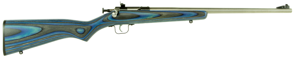 Crickett Youth 22 LR 16.12" Stainless Steel Barrel Blue 