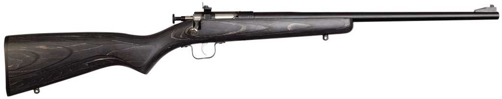 Crickett Youth Gen 2 22 LR 16.12" Blued Barrel 1Rd Black