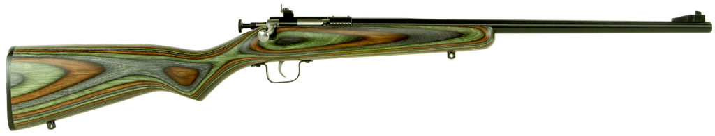 Crickett Youth Gen 2 22 LR 16.12" Blued Barrel 1Rd Wood Laminate