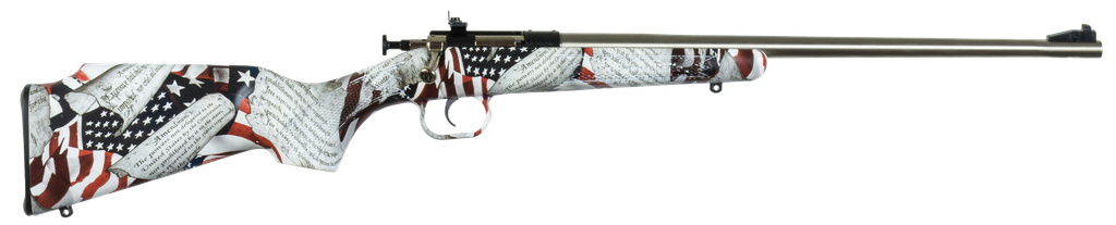 Crickett Youth Amendment .22 LR 16.12" Barrel 1Rds American Flag & Amendment