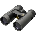 Leupold BX-2 Alpine HD Binocular 10X42 Shadow Gray 